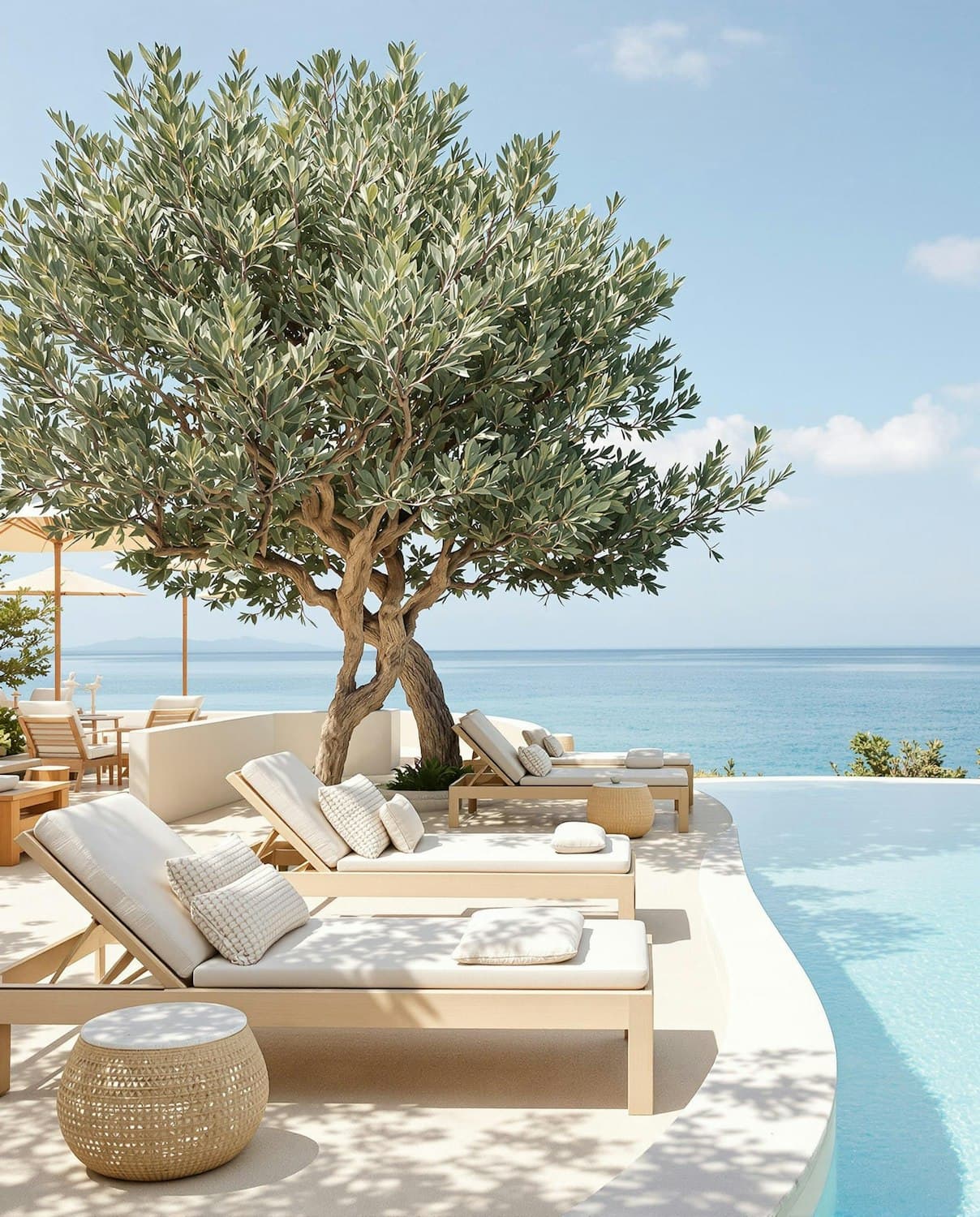 Sun loungers beneath an olive tree beside the infinity pool, the sea behind